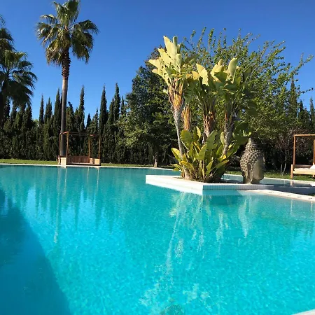 Justbeandbeibiza *