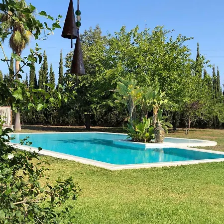Justbeandbeibiza Bed & Breakfast San Antonio (Ibiza)