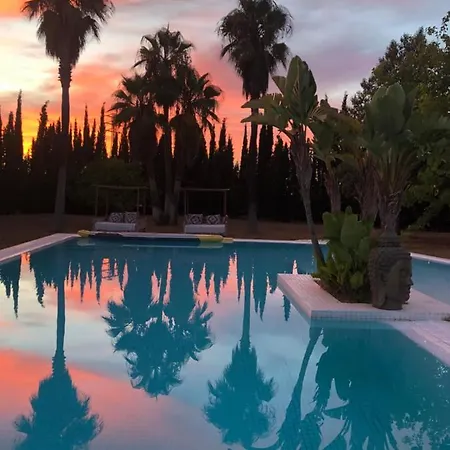 Bed & Breakfast Justbeandbeibiza San Antonio (Ibiza)
