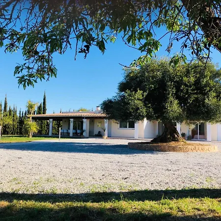 Justbeandbeibiza * Sant Antoni de Portmany