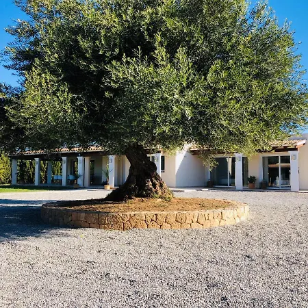 Justbeandbeibiza Couette-café Sant Antoni de Portmany