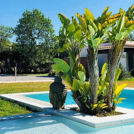 Justbeandbeibiza * Sant Antoni de Portmany